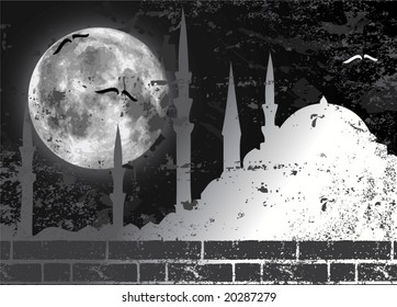 Vector moon illustration