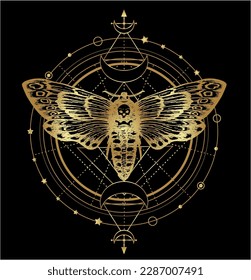 Vector of moon moth. Mystic butterfly with a skull sketch. Golden moth over sacred geometry sign. For print for T-shirts and bags, decor element. Mystical and magical, astrology illustration