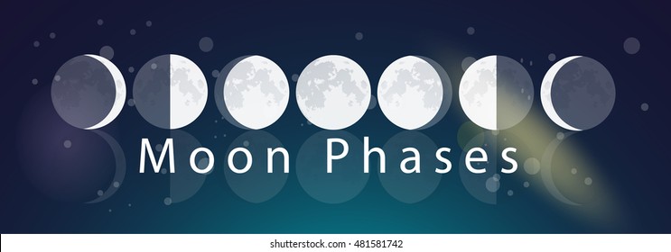 Vector Moon Phases