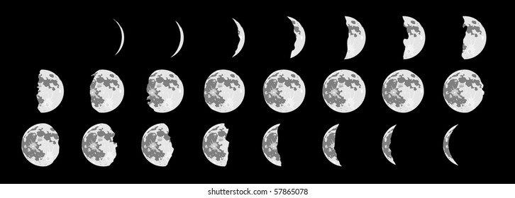 vector moon phases