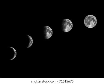 vector moon phases