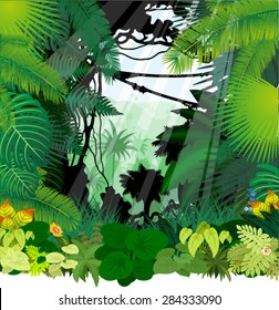 vector morning in jungle