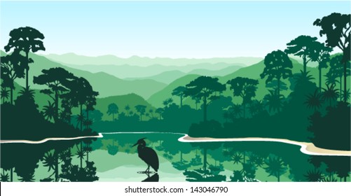 Vector Morning in Jungle Lake with Heron