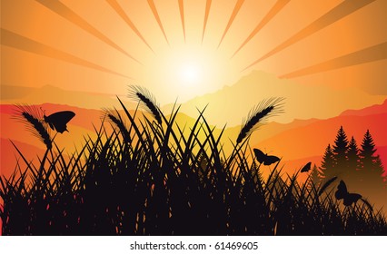 vector morning in mountains meadow