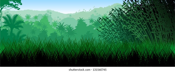 Vector Morning in tropical rainforest