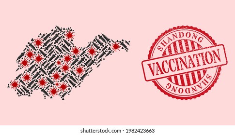 Vector mosaic Shandong Province map of coronavirus, vaccination icons, and red grunge vaccination stamp. Virus cells and syringe particles inside Shandong Province map.