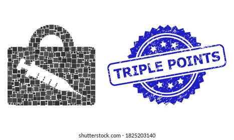 Vector mosaic vaccine case, and Triple Points unclean rosette seal print. Blue seal has Triple Points title inside rosette. Square parts are organized into abstract illustration vaccine case icon.