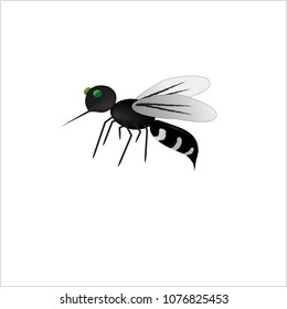 vector, Mosquito, cartoon