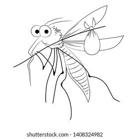 Vector mosquito - cartoon line isolated illustration