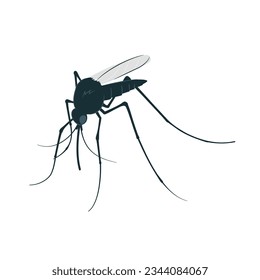 Vector mosquito close up side view isolated on white background.