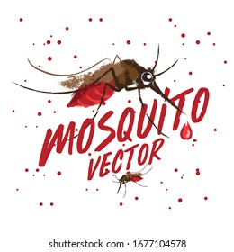 Vector of a Mosquito design on white background