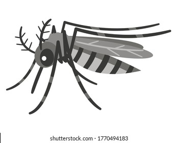 Vector de un diseño de mosquito sobre fondo blanco. Insectos. Animal.