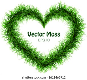 Vector Moss Wreath - Heart Isolated Herbal Vegetative Frame - Floral Green Concept 