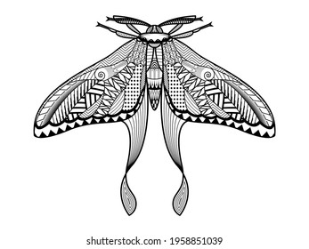 Vector moth of hand drawn insects illustrations. Abstract butterfly coloring book.