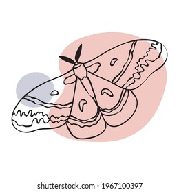 Vector moth illustration for prints. Line art.