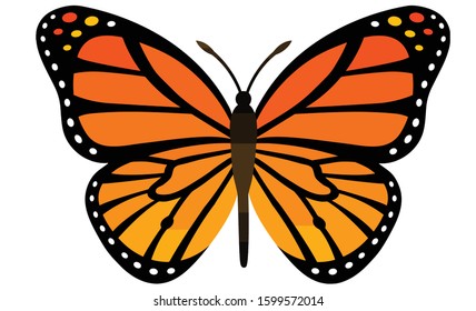 Vector Moth Isolated On White Background Stock Vector (Royalty Free ...