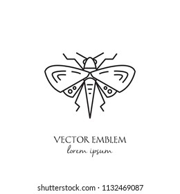 Vector moth linear icon