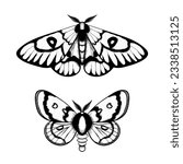Vector moth, mystic symbol and signs. Witchcraft, occult, alchemical signs. Butterfly moth vintage engraved style