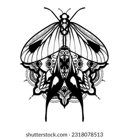 Vector moth, mystic symbol and signs with meditative mandala ornament. Witchcraft, occult, alchemical signs. Butterfly moth vintage engraved style