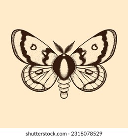 Vector moth, mystic symbol and signs. Witchcraft, occult, alchemical signs. Butterfly moth vintage engraved style
