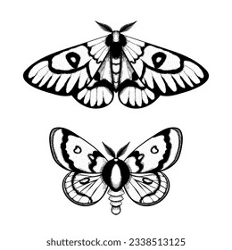 Vector moth, mystic symbol and signs. Witchcraft, occult, alchemical signs. Butterfly moth vintage engraved style