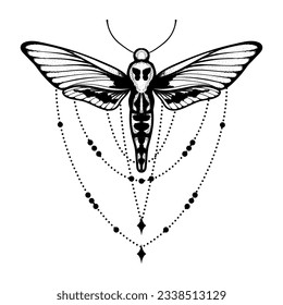 Vector moth, mystic symbol and signs with geometric ornament. Witchcraft, occult, alchemical signs. Butterfly moth vintage engraved style