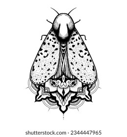 Vector moth, mystic symbol and signs with meditative mandala ornament. Witchcraft, occult, alchemical signs. Butterfly moth vintage engraved style
