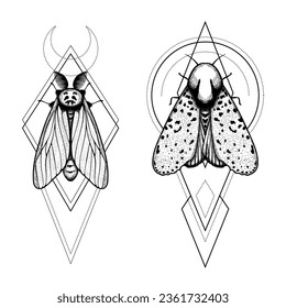 Vector moth, mystic symbol and signs with geometric ornament. Witchcraft, occult, alchemical signs. Butterfly moth vintage engraved style
