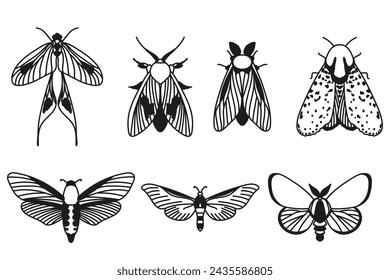 Vector moth, mystic symbol and signs. Witchcraft, occult, alchemical signs. Butterfly moth 