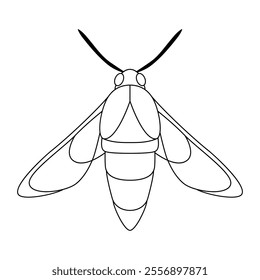 Vector Moth Night Butterfly Cartoon Illustration Isolated