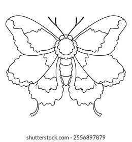 Vector Moth Night Butterfly Cartoon Illustration Isolated