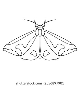 Vector Moth Night Butterfly Cartoon Illustration Isolated