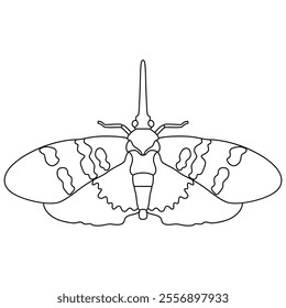 Vector Moth Night Butterfly Cartoon Illustration Isolated