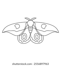 Vector Moth Night Butterfly Cartoon Illustration Isolated