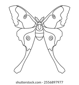 Vector Moth Night Butterfly Cartoon Illustration Isolated