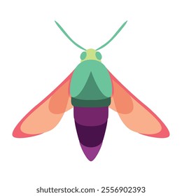 Vector Moth Night Butterfly Cartoon Illustration Isolated