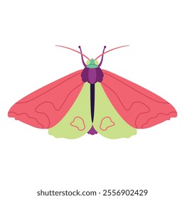 Vector Moth Night Butterfly Cartoon Illustration Isolated