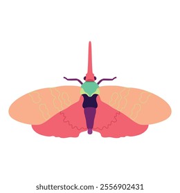 Vector Moth Night Butterfly Cartoon Illustration Isolated