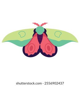 Vector Moth Night Butterfly Cartoon Illustration Isolated