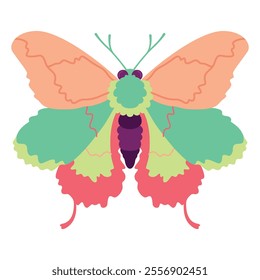 Vector Moth Night Butterfly Cartoon Illustration Isolated