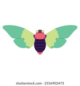 Vector Moth Night Butterfly Cartoon Illustration Isolated