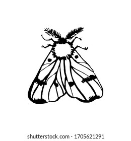 vector moth, night butterfly drawing, hand drawing silhouette 
