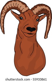 vector -  mouflon , portrait, isolated on background