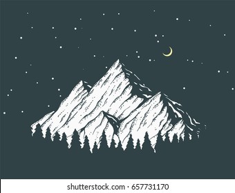 Vector mountain at night illustration. Pine forest in front of an icy white peak. Night starry sky.