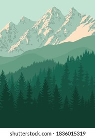vector mountain in woodland on Rocky mountains