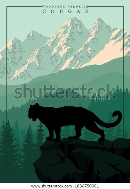 vector mountain in woodland on Rocky mountains with\
Puma, Cougar, mountain lion\
