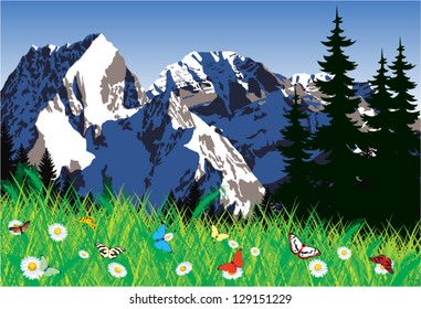 vector mountains meadow with chamomile and butterflies