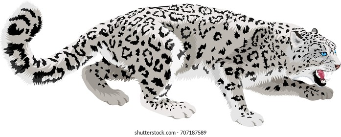 vector mountains snow leopard