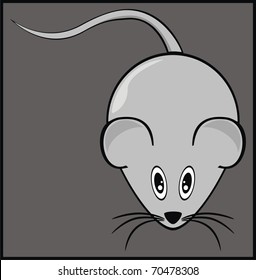 VECTOR Mouse Rat