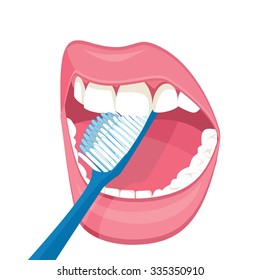 794 Brush Tooth Instruction Images, Stock Photos & Vectors | Shutterstock